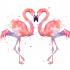 FlamingoEvelyn avatar